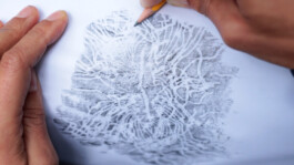 The gift exercise / Invitation 6: Sihlwald